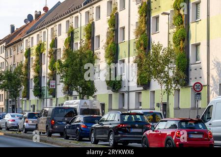 The Gladbecker Straße in Essen, B224, innercity street in Essen