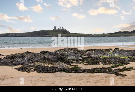 Ruins of Dunstanburgh Castle seen from across the water at Low Newton in Northumberland, UK on 23 September 2023 Stock Photo