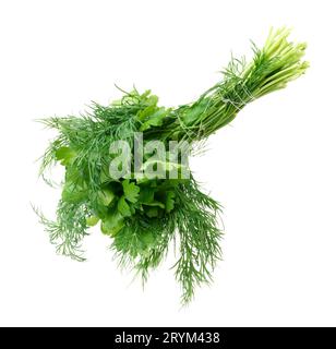 A bunch of parsley and dill on a white isolated background Stock Photo