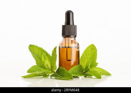 Peppermint essential oil on white background. Herbal remedies Stock Photo