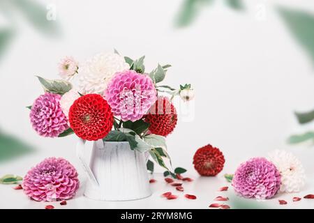 Autumn dahlias flowers bouquet on white table. Wall table background, copy space Stock Photo