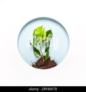 World environment day concept. Creative layout of round paper hole with earth, green twig and blue background. Earth day Stock Photo