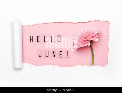 Hello June text and pink gerbera flower on pink background. Paper hole with torn edges Stock Photo