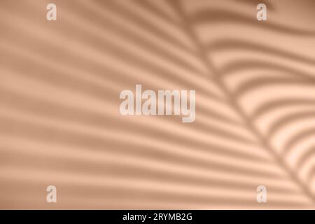 Shadow of palm leaf on natural earthy colors background. Creative drawing of light and shadow for your design Stock Photo