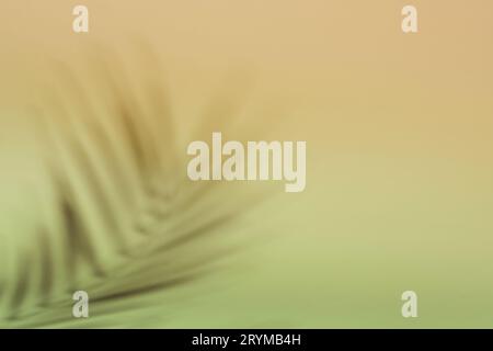 Natural palm leaves shadow on gradient paper background. Abstract peach and green tropical backdrop. Soft light Stock Photo