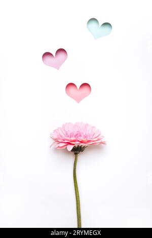 Happy Mother's Day, Women's Day or Valentine's Day greeting card. Elegant gerbera flower and colorful hearts holes. Minimal Crea Stock Photo