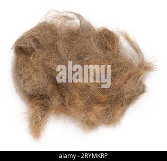 A tuft of combed gray cat hair on a white background, top view Stock Photo