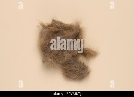 A tuft of combed gray cat hair on a beige background, top view Stock Photo