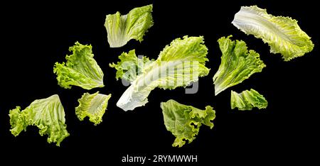 Falling salad leaves isolated on black background Stock Photo
