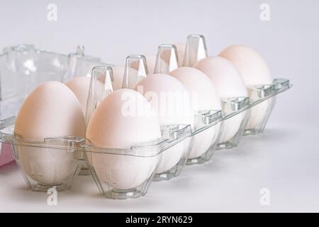 Group of organic white eggs in transparent plastic carton. Stock Photo