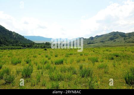 A wide glade with tall grass surrounded by mountains at the foot of the endless steppe under a bright summer sky. Khakassia, Siberia, Russia. Stock Photo