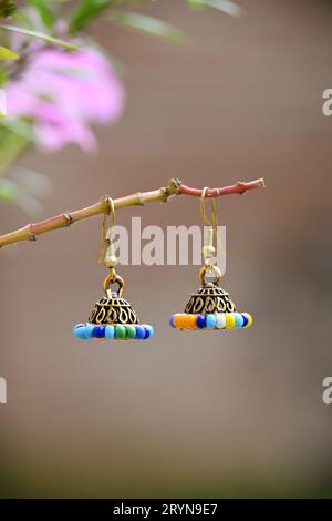 closeup the pair of golden blue color ear ring with beads hold on the plant branch soft focus natural green brown background. Stock Photo
