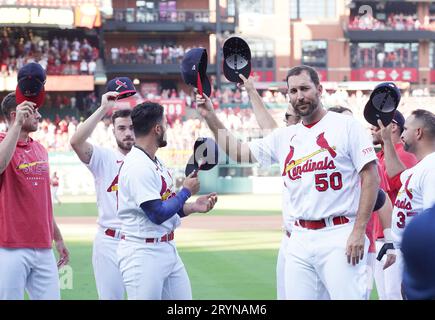 Adam wainwright hi-res stock photography and images - Alamy