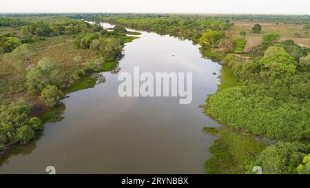 Ariel view of a typical Pantanal river with meadow, lagoon and dense forest, Pantanal Wetlands, Mato Stock Photo