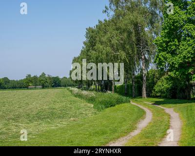 Spring time in the german muensterland Stock Photo