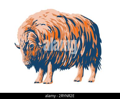 Muskox Musk Ox or Musk-Ox Side View WPA Art Stock Photo