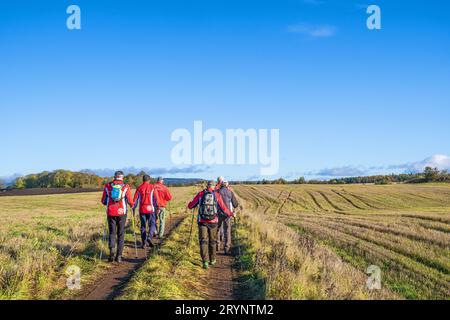 Men who walks on a dirt road along the fields Stock Photo