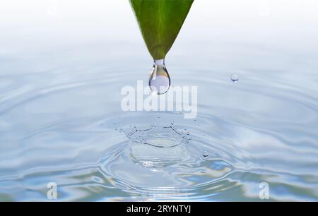 A water droplet falling from green leaf into a tranquil body of water, creating ripples and splashes Stock Photo