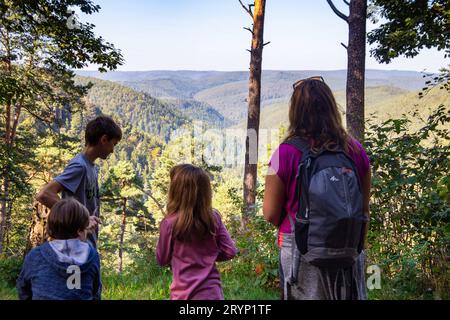 Familie mit Kindern beim Wandern im Pfälzerwald *** Family with children hiking in Palatinate Forest Copyright: xx Credit: Imago/Alamy Live News Stock Photo