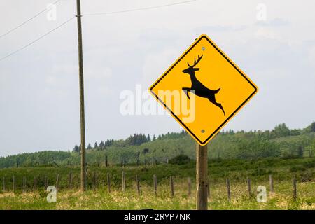 Cochrane, Alberta, Canada. Jun 4, 2023. A Deer Crossing Sign. Stock Photo