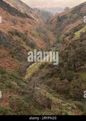 Ashes Hollow, one of the deep valleys cutting into The Long Mynd, an upland area of outstanding natural beauty in South Shropshire, England, UK. Stock Photo