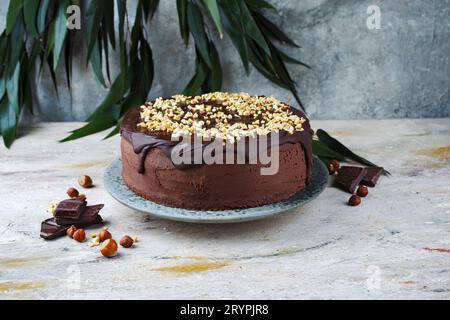 Traditional choco vanilla cake with chocolate icing chopped hazelnuts served as close-up on a Nordic Design plate with text spac Stock Photo