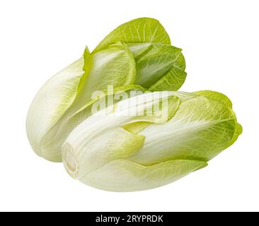 Fresh endive, green chicory salad isolated on white background Stock Photo