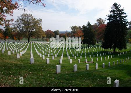 A beautiful scene of a national cemetery with numerous rows of headstones in shades of white and gray, providing a tranquil atmosphere Stock Photo