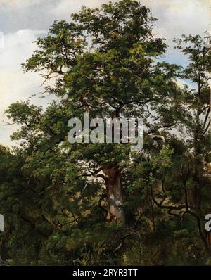 – Wolfgang-Adam Töpffer - Oak Tree Wolfgang-Adam Töpffer: Swiss, Geneva 1766–1847 Morillon Oil on paper, laid down on wood Stock Photo