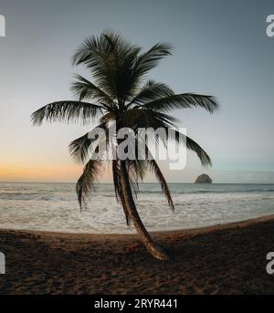 Le Rocher du Diamant, Martinique during sunrise. Diamond Rock and palm trees on beach. Carribean travel image for beach holiday. Stock Photo