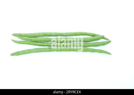 Moringa fruits isolated on white background with clipping path.top view,flat lay. four moringa seeds Stock Photo