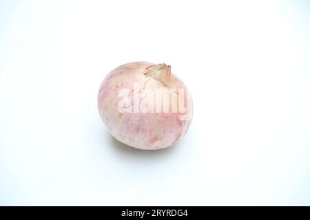 Single Onion isolated on white background Stock Photo