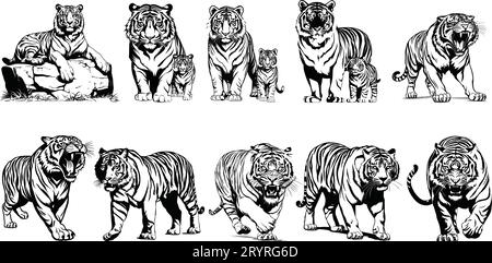 set of vector drawings on the theme of predators tigers are drawn by hand with ink tattoo logos. Stock Vector
