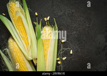 Ripe young sweet corn cob with leaves on black concrete background, copy space Stock Photo