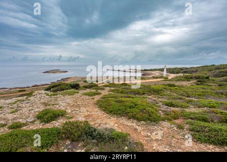 Natural beach near city Can Picafort. Balearic Islands Mallorca Spain. Stock Photo