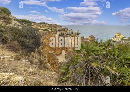 An idyllic beach scene featuring a sandy shoreline lined with cliffs reaching towards a vast blue ocean Stock Photo