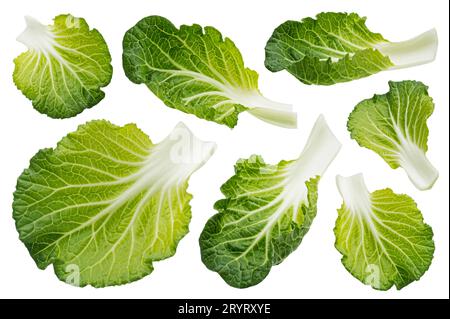 Bok Choy isolated on white background, Chinese cabbage Stock Photo