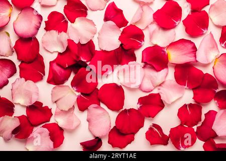 Romantic spa background of red and pink rose petals Stock Photo