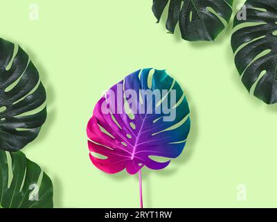 Creative saturated background. Dissimilarity art concept Stock Photo