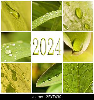 2024, green leaves and raindrops photo collage, nature and water concept Stock Photo