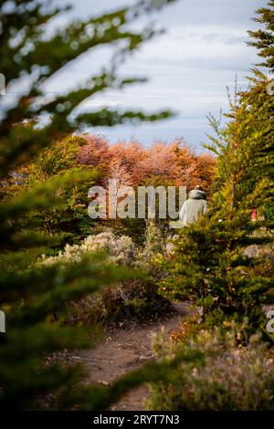 A young person taking a leisurely stroll along a trail in the fall Stock Photo