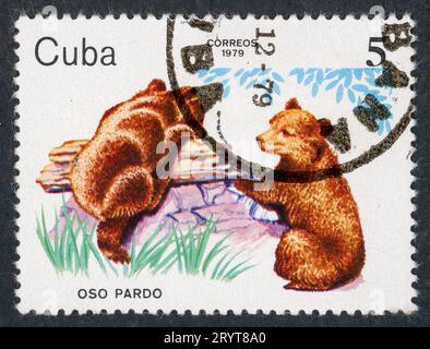 The brown bear (Ursus arctos). Postage stamp issued in Cuba in 1979. Stock Photo