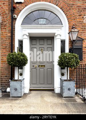 A famous grey painted Georgian door in Dublin, Ireland Stock Photo