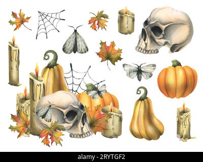 Human skull with orange pumpkins, candles, night moths, cobwebs and autumn leaves. Hand drawn watercolor illustration for Halloween and Day of the Stock Photo