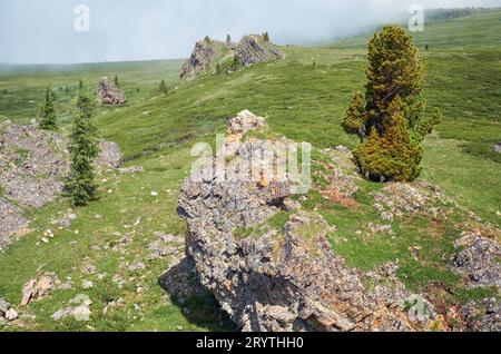 Stone cliffs on the mountainside. At the top grows a cedar tree. Stock Photo