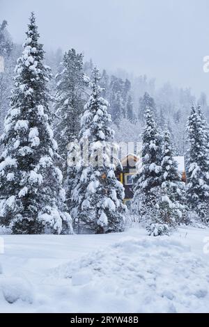 House in fir forest Teletsky Altai winter mountain ski resort Stock Photo