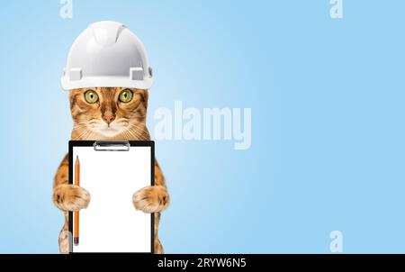 Studio shooting of Bengal cats, white background Stock Photo