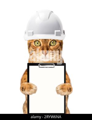 Cat architect in a helmet and with a clipboard, isolated on a white background. Stock Photo