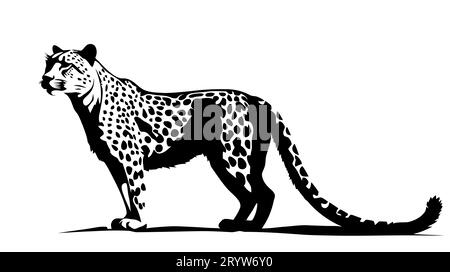 Leopard Silhouette gepard panther. Black Silhouette on white background. Stock Vector