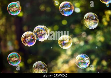 Rainbow soap bubbles on a dark green background in the rays of the sun. Stock Photo